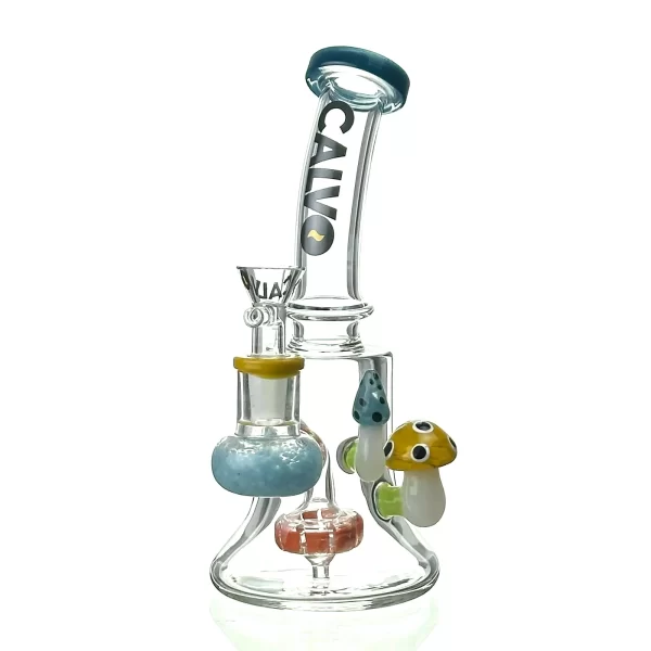 DUAL FUNGI RIG