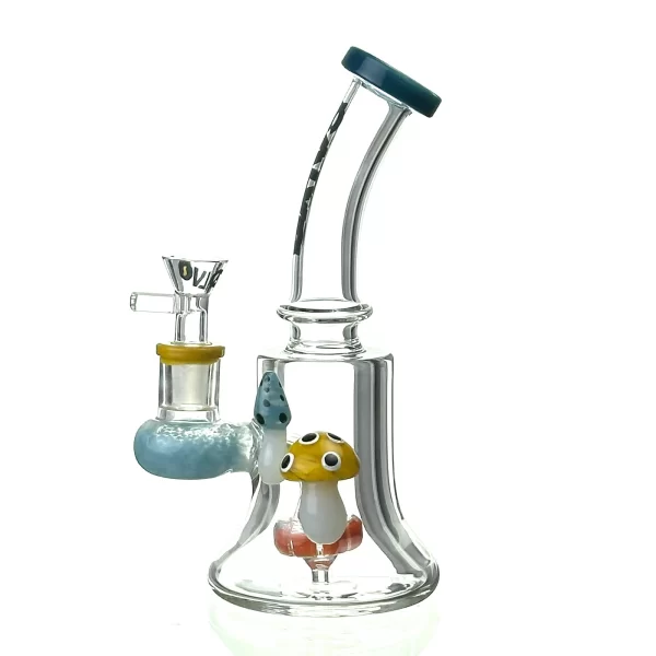 DUAL FUNGI RIG