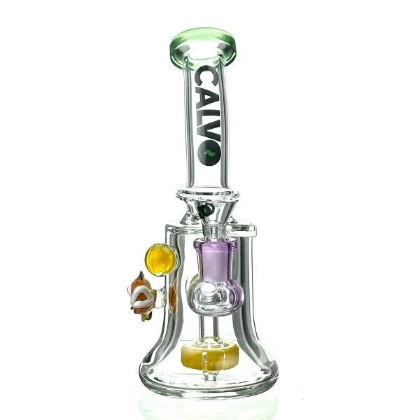AQUA RIG CALVO