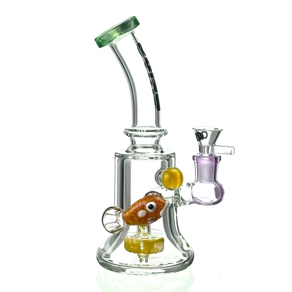 AQUA RIG CALVO